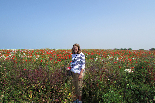 A poppy field near the artillery battery at Longues sur Mer