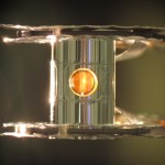 Cylinder containing hydrogen isotopes, deuterium and tritium, the site of the laser induced fusion reaction. Image courtesy of the National Ignition Facility at Lawrence Livermore National Laboratory.